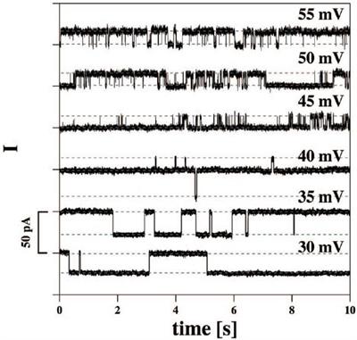 Bio-Mimicking, Electrical Excitability Phenomena Associated With Synthetic Macromolecular Systems: A Brief Review With Connections to the Cytoskeleton and Membraneless Organelles